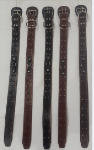 Dog Belt - Sword (600x600), Png Download