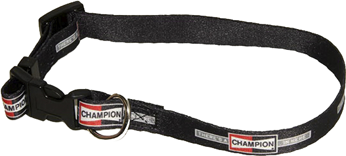 Dog Collar - Strap (1100x1100), Png Download