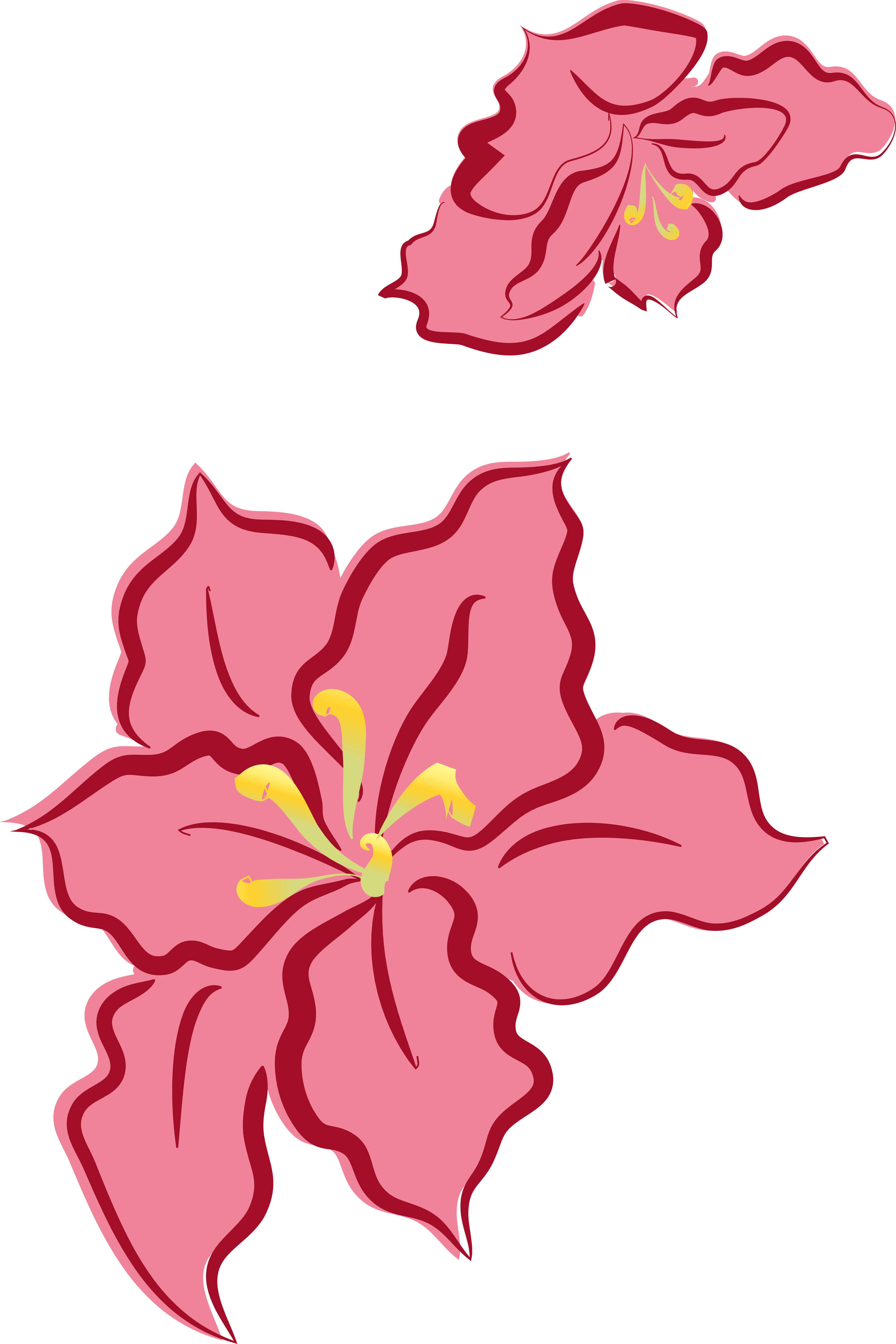 Flowers Color Clipart Leave Outline - Christmas Decoration Flower Cliparts (3737x5602), Png Download