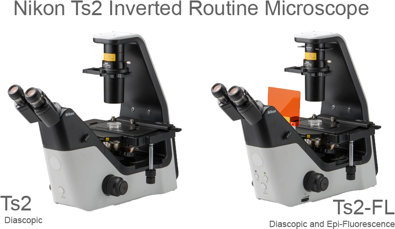 Ts2 Nikon (900x500), Png Download