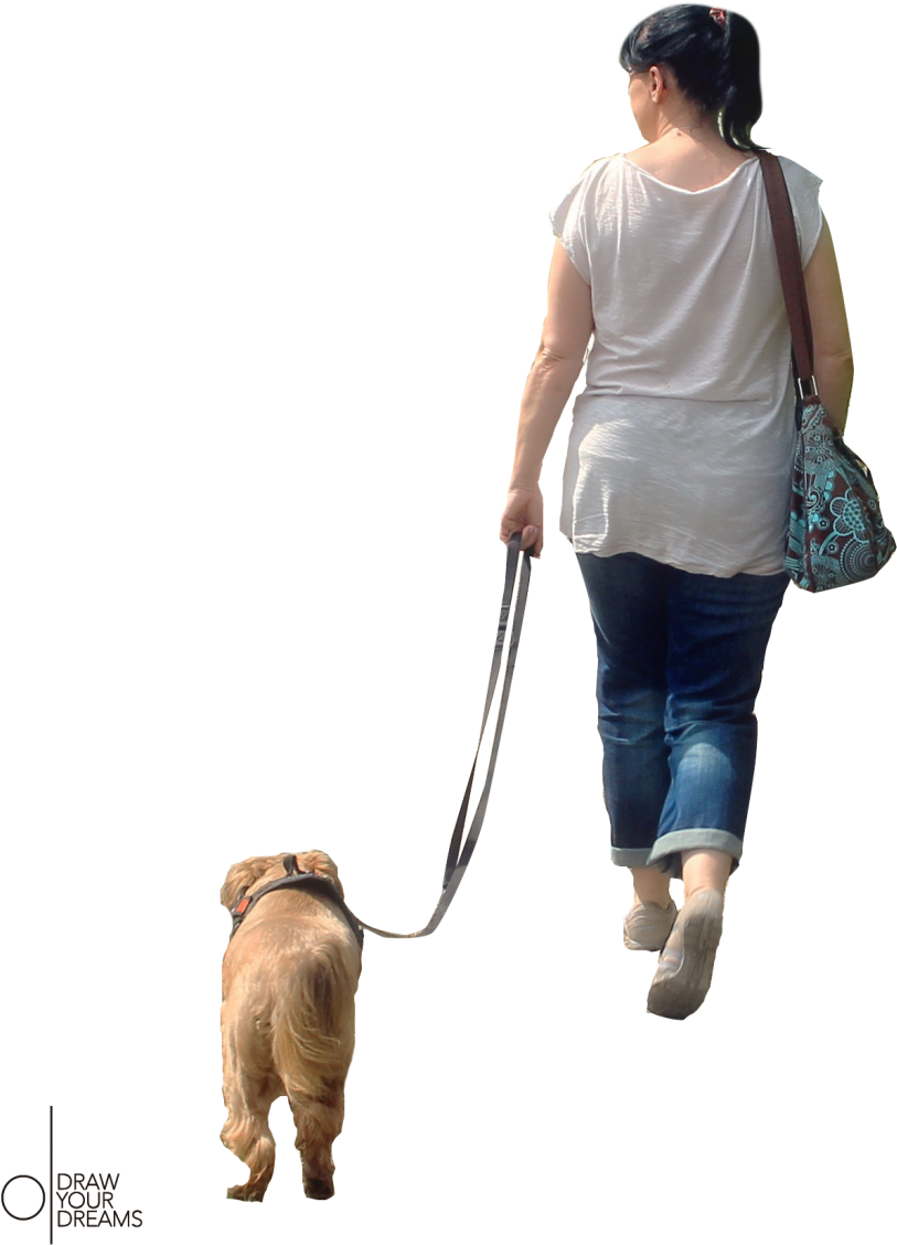 2010 Drawyourdreams - Dog Walking (924x1253), Png Download
