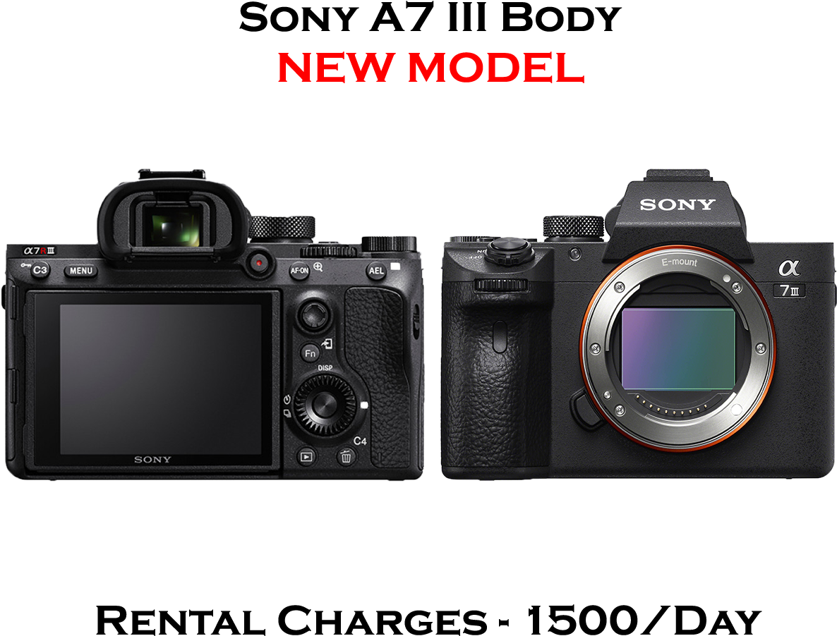 Sony A7 Iii - Sony A7iii Vs Canon Eos R (1250x1042), Png Download