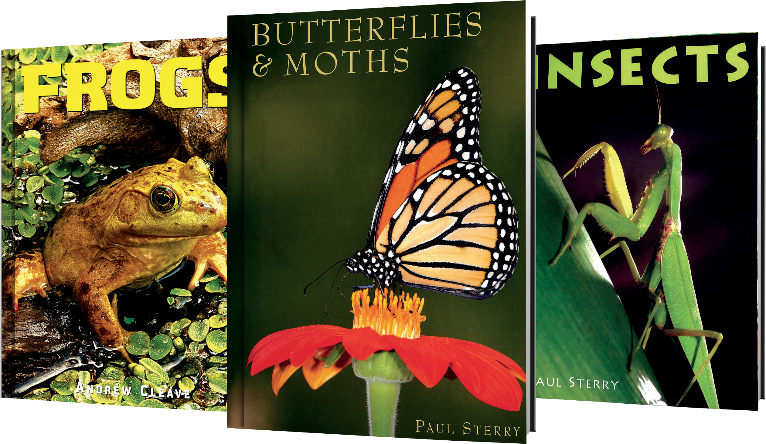 Hardcover - Monarch Butterfly (3000x1773), Png Download