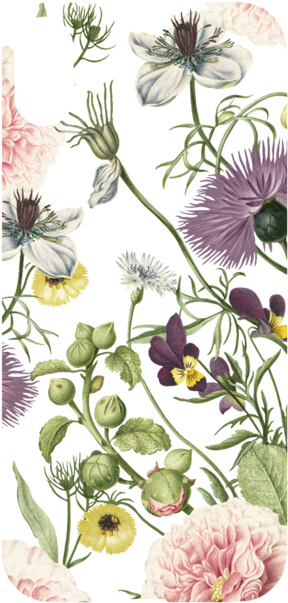 Tulle For Iphone Xs Max - Iphone (800x800), Png Download