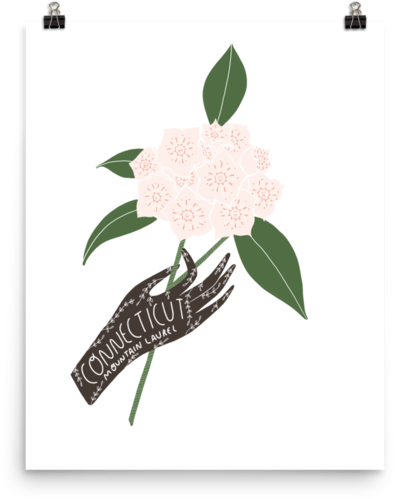 Connecticut State Flower Print - Greeting Card (600x600), Png Download