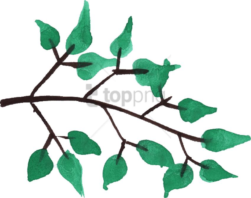 Free Png Watercolor Tree Branches Png Image With Transparent - Twig (850x672), Png Download