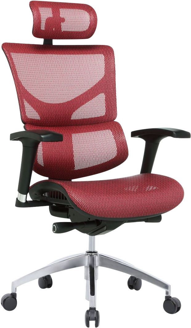 Ergonomic Chairs - X Chair (647x1090), Png Download