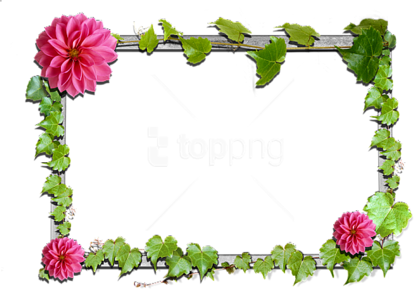 Free Png Flowers Frame Background Best Stock Photos - Frame Photoscape Free Download (850x601), Png Download
