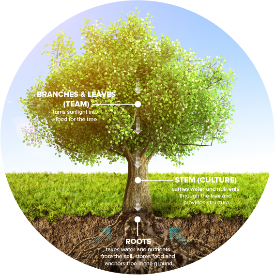 Xebia Tree V5-01 - Photo Caption (568x568), Png Download