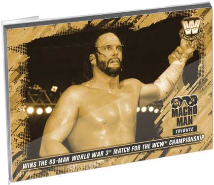 Gallery - Randy Savage Wcw Champion (700x700), Png Download