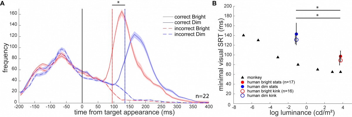 Discriminating Between Anticipatory And Visually Triggered - Diagram (1200x401), Png Download