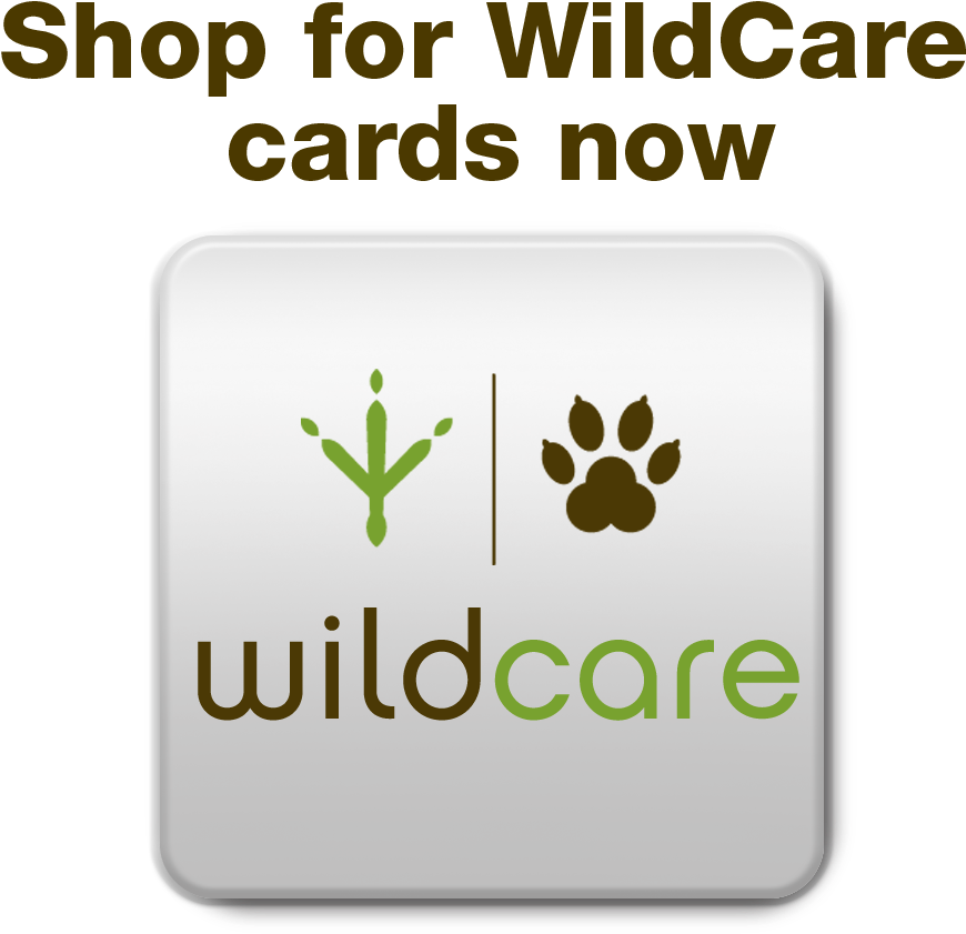 Buy Cards At Second Chance Greetings - Recipe For Men (1050x900), Png Download