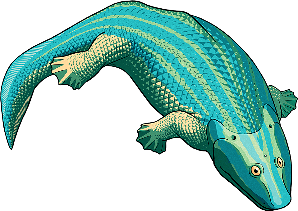 Tumblr Oba2rvvofs1s5f2yxo1 1280 - Amphibian August 2016 (1000x720), Png Download