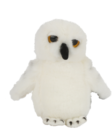 Barn Owl (528x600), Png Download