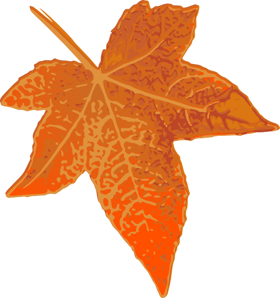 Orange Leaves Cliparts - Maple Leaf Clip Art (564x599), Png Download