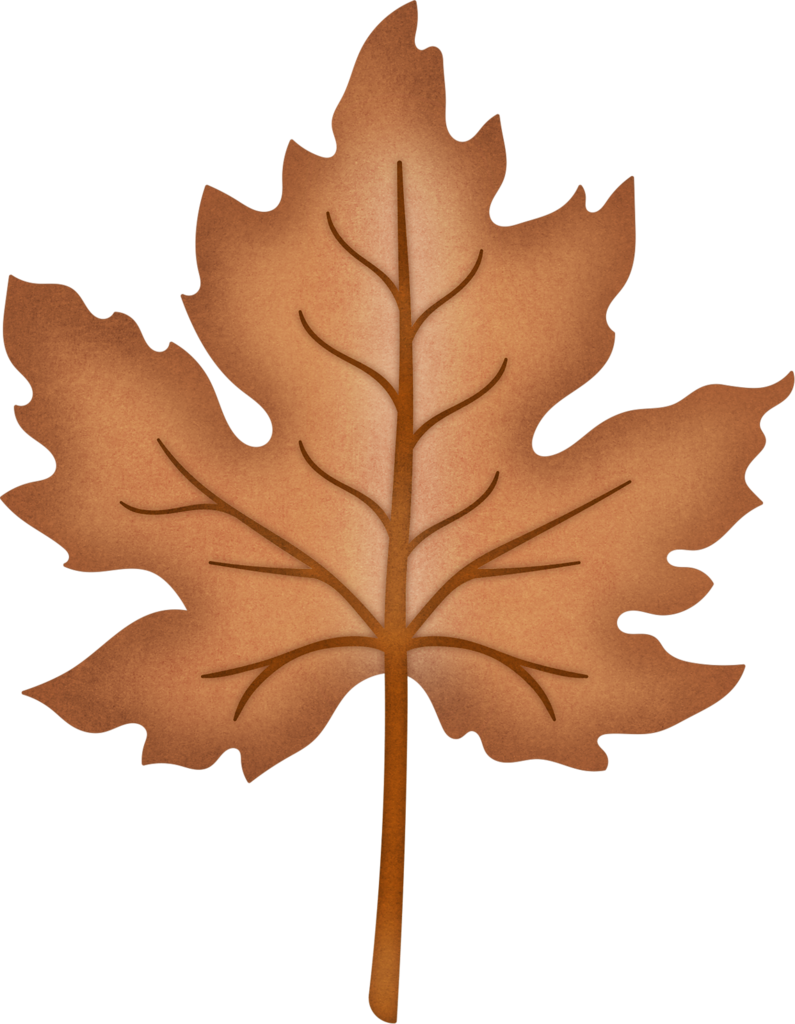 Autumn Harvest 4 - Maple Leaf (795x1024), Png Download