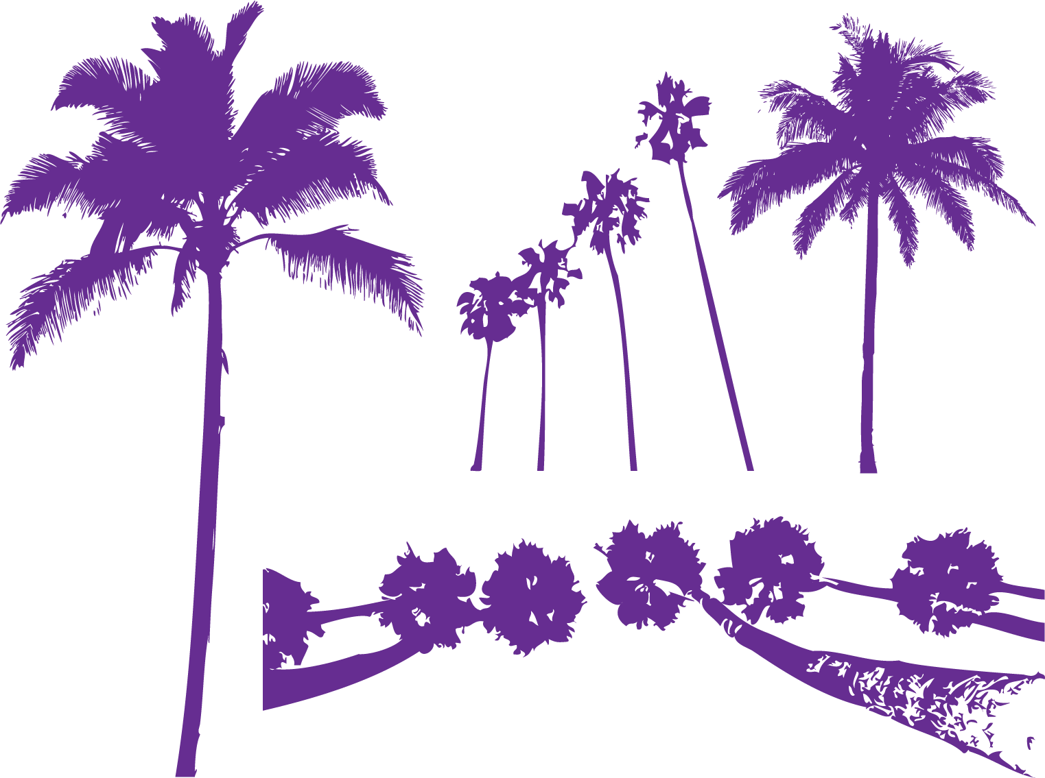 Areca Palm Tree Purple Arecaceae - Palm Trees Silhouette Colorful (1523x1135), Png Download