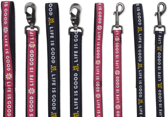 Nylon Rocket Dog Leash - Life Is Good Dog Leash (570x570), Png Download