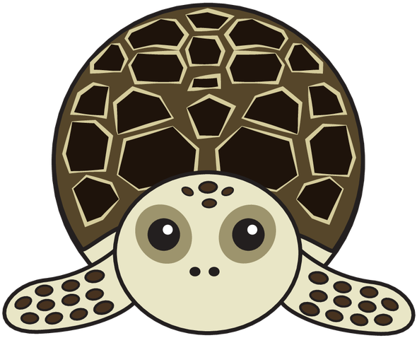 Animaru Hawksbill Turtle - Sea Turtle (800x800), Png Download