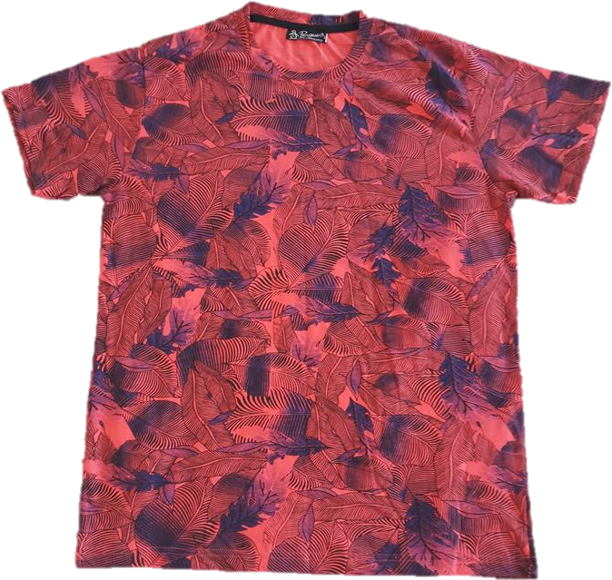 Blazing Red T-shirt - Blouse (720x960), Png Download