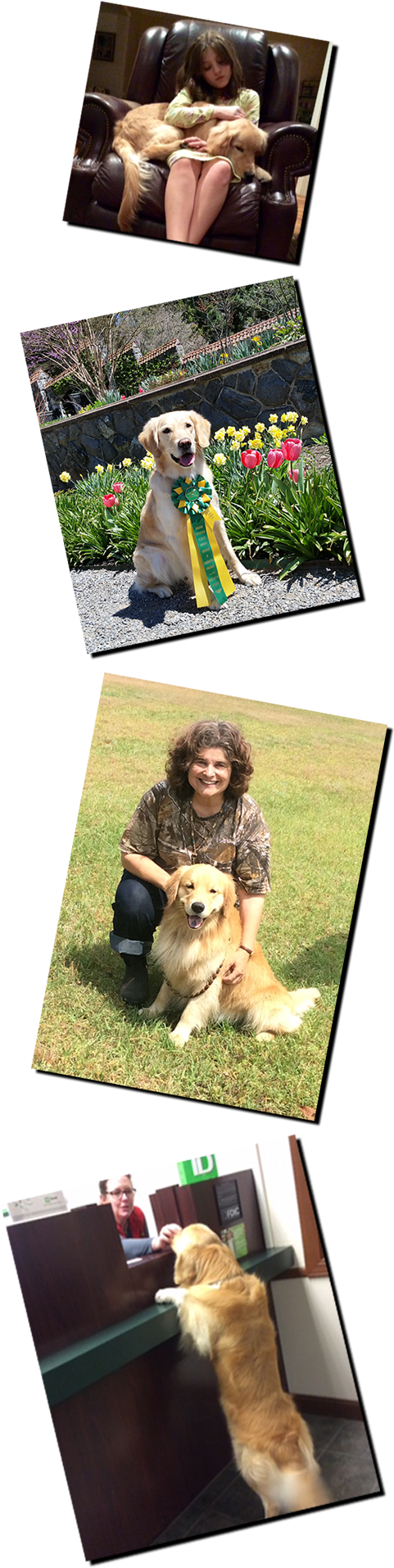 Peggy Zionts, Rhyme, Llanfair Hypnautic E I E I O Cca - Meerkat (490x1952), Png Download