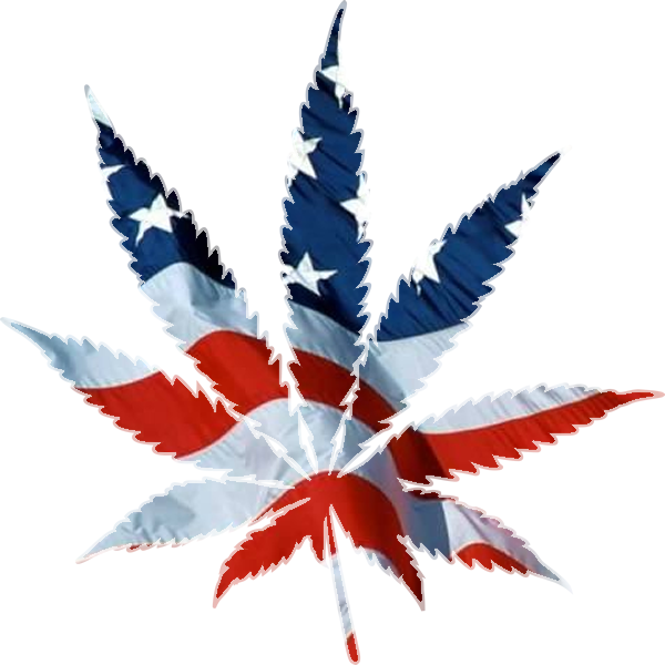 Home - American Flag Pot Leaf Png (600x600), Png Download