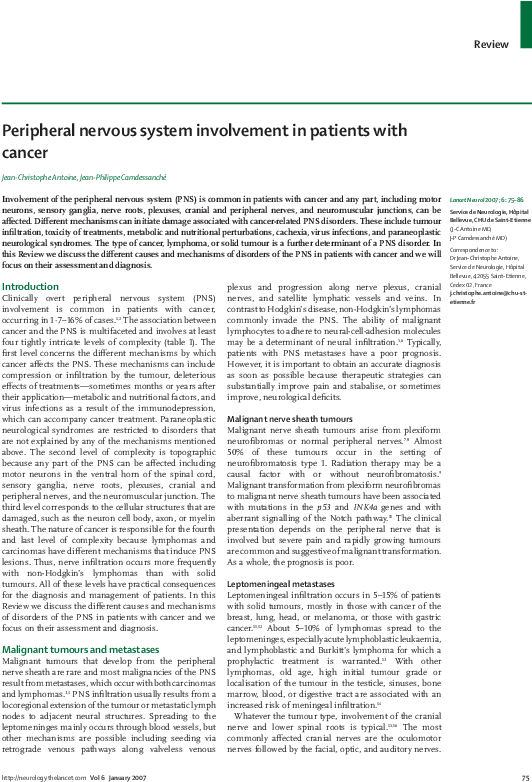 Peripheral Nervous System Involvement In Patients With - Plaza De San Marcos (595x799), Png Download