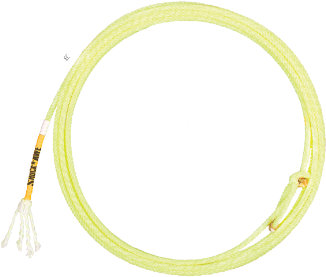 $42 - - Cactus Ropes Shock N Awe (650x563), Png Download