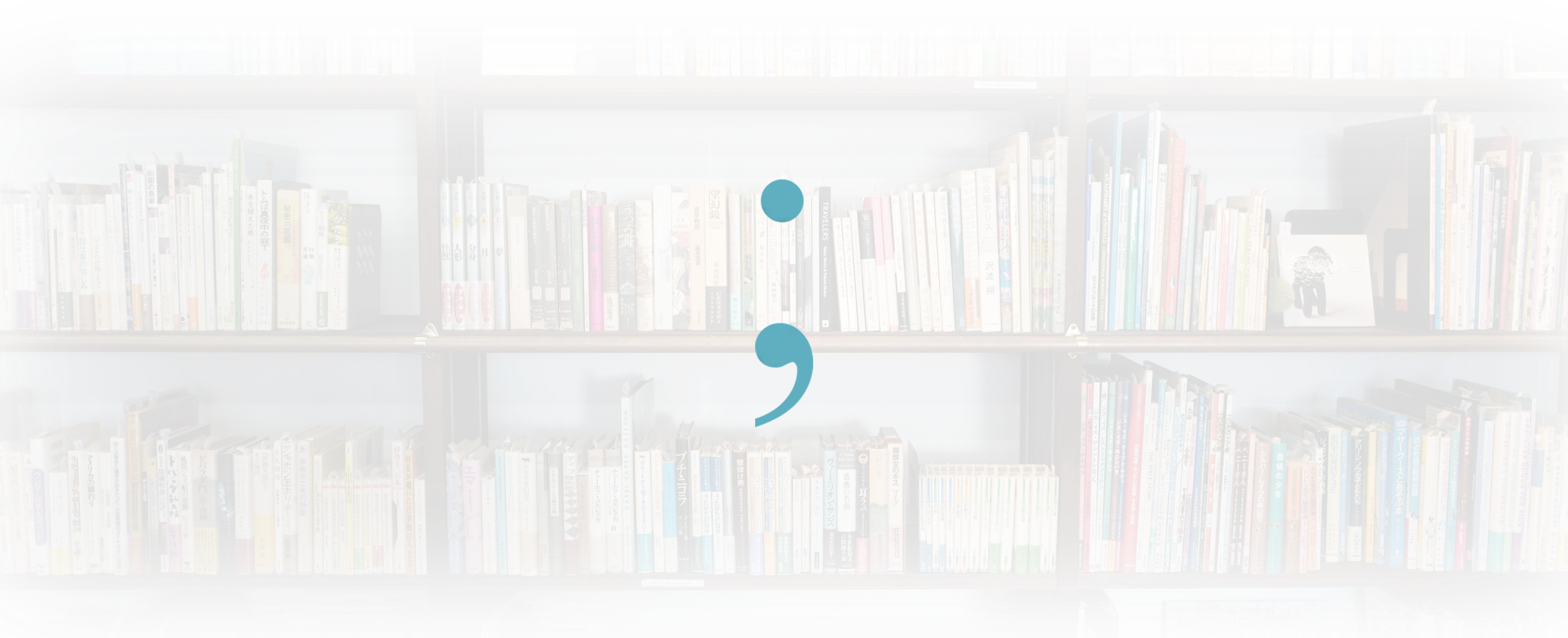 The Semicolon Is One Of The Most Misused And Misunderstood - Bookcase (2600x1058), Png Download
