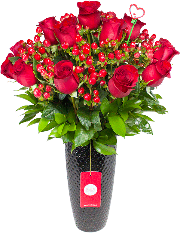 Amplio Catálogo De Productos - Garden Roses (600x800), Png Download