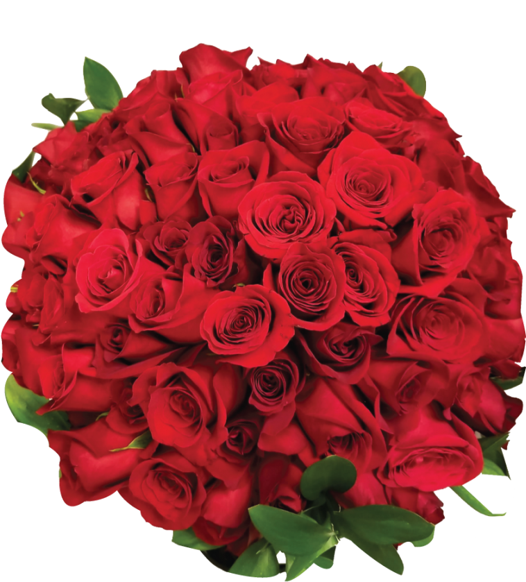 Rose Drama Collection - Bouquet De Rose Rouge (900x900), Png Download