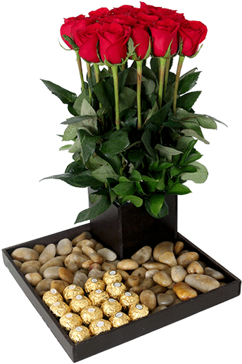 Arreglo De Rosas Con Ferrero - Garden Roses (850x567), Png Download
