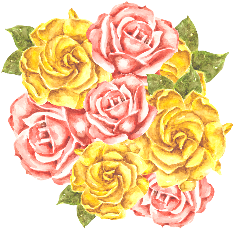 Watercolor Roses And Gardenias By Erika Lancaster - Garden Roses (800x800), Png Download