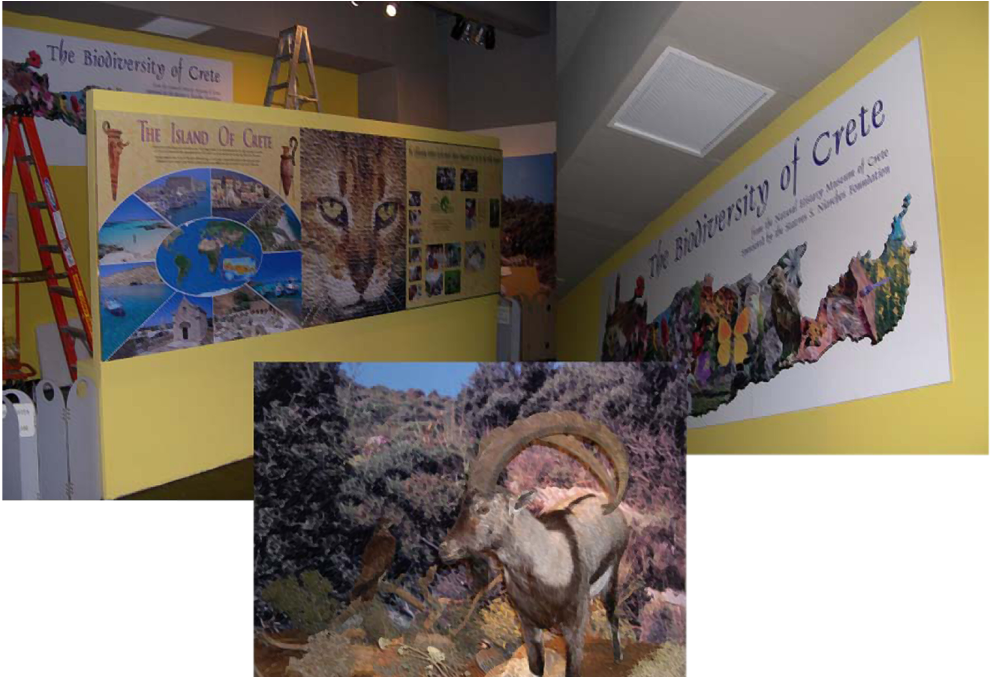 Mural2 - Creative Arts (1000x676), Png Download