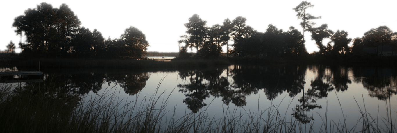 Lower Section Bg - Reflection (1366x460), Png Download