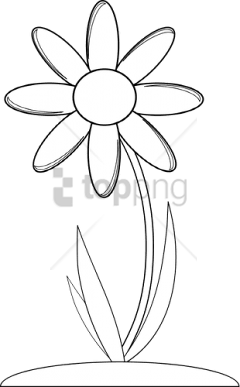 Free Png Download Gambar Bunga Di Buku Gambar Png Images - Anthony Nolan Daisy Logo (480x775), Png Download