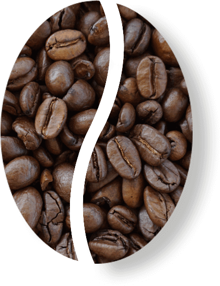 Café Tostado - Java Coffee (550x872), Png Download