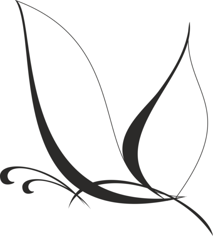 See Here Butterfly Clipart Black And White Outline - Butterfly Vector Png (722x800), Png Download