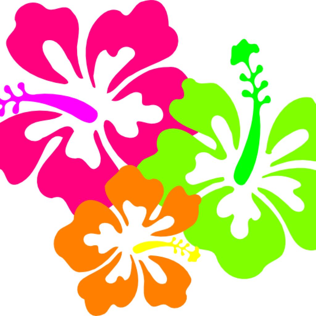Free Hawaiian Clip Art Hawaiian Clipart Clipart Panda - Hibiscus Clip Art (1024x1024), Png Download
