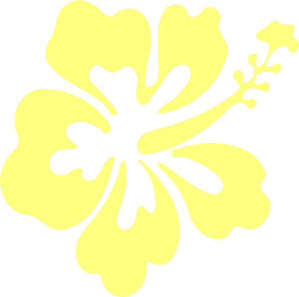 Hibiscus (600x596), Png Download