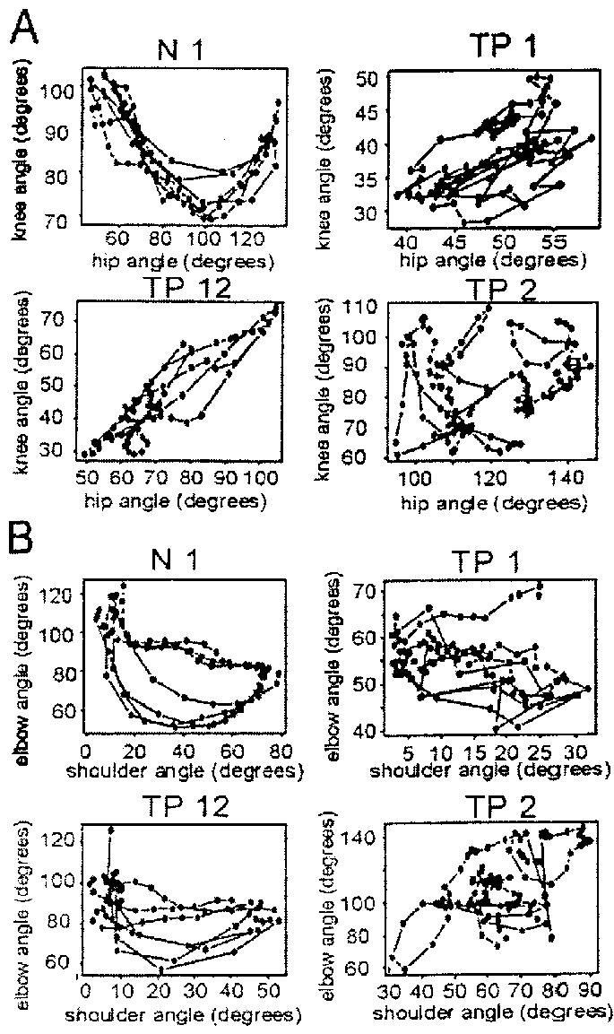Intralimb Joint Angle Phase Plots - Diagram (685x1153), Png Download