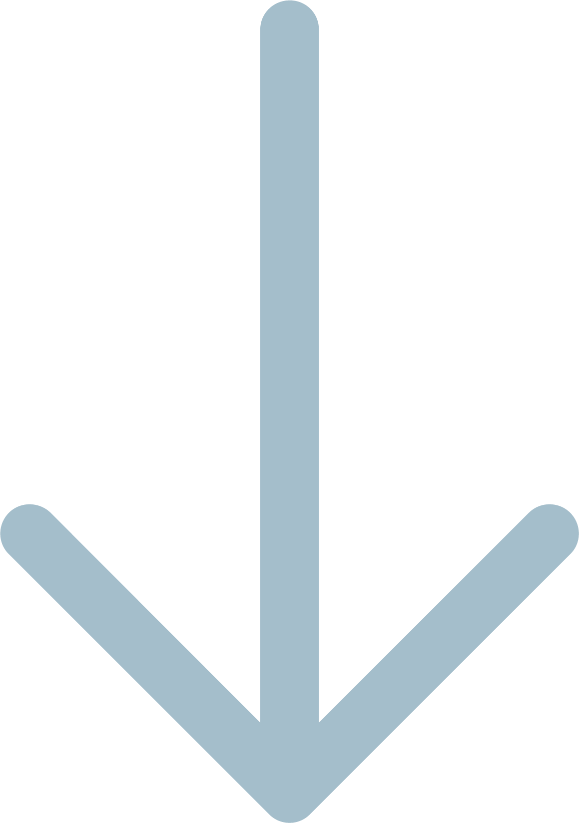 Tasar Coche Seminuevo En Valencia - Sign (1159x1648), Png Download