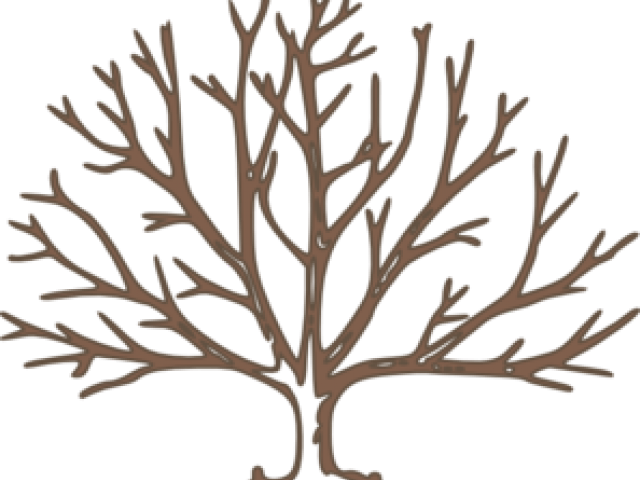 Draw A Tree With Snow (640x480), Png Download