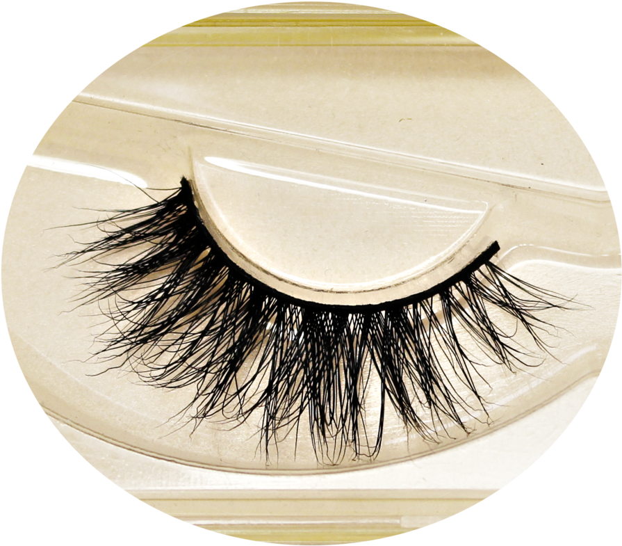 Brush Vector Eyelash - Library (1024x851), Png Download