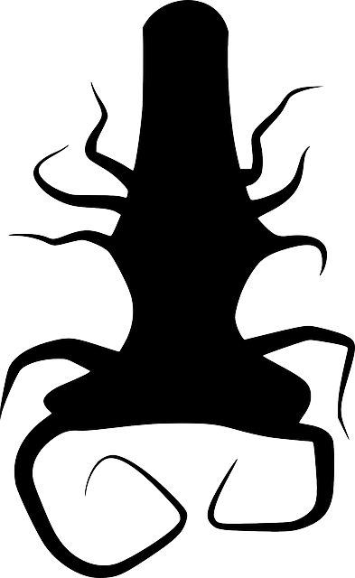 Black, Silhouette, Tree, Roots, Plant, Thing, Root - Akar Pohon Vektor (393x640), Png Download