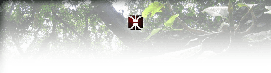 Trees And Neighbors Darrin Class, Attorney At Law - Tree (936x253), Png Download