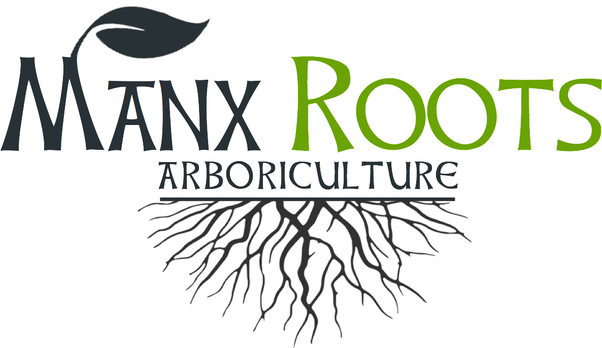 Back To My Roots Ep - Eddie Voyager - Download (1235x706), Png Download