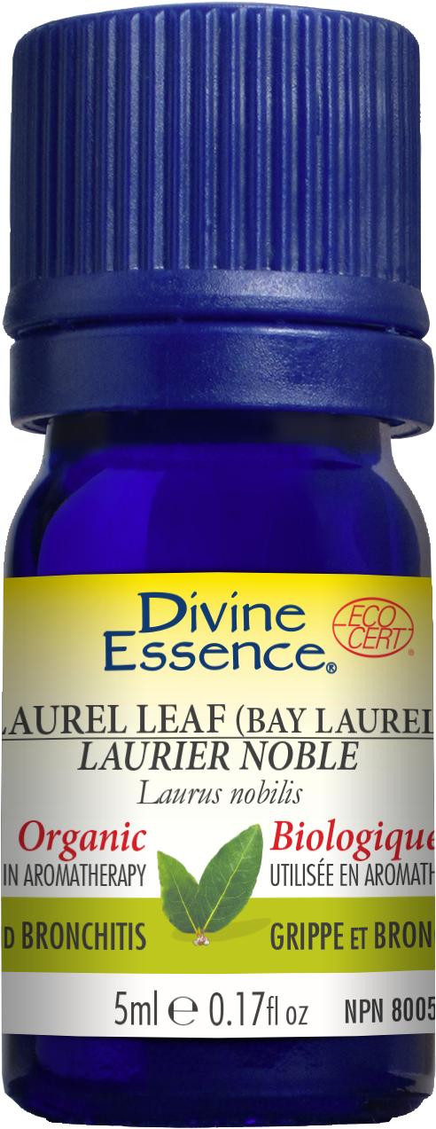 Share - Divine Essence Carrot Organic Essential Oil (627x1302), Png Download