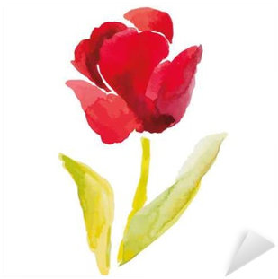 Red Tulip On The White Background - Watercolor Painting (400x400), Png Download