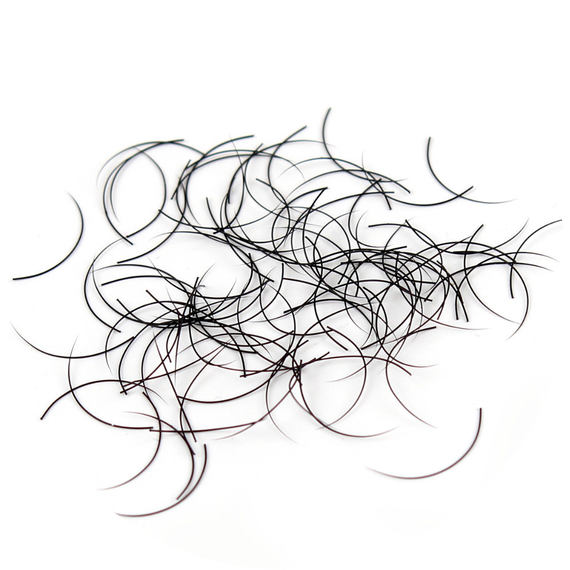 Human Eyelashes Extensions (570x570), Png Download